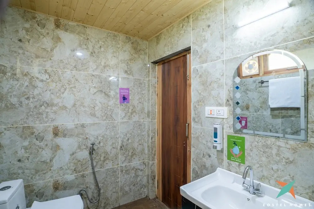 Zostel Homes Tirthan, Gushaini