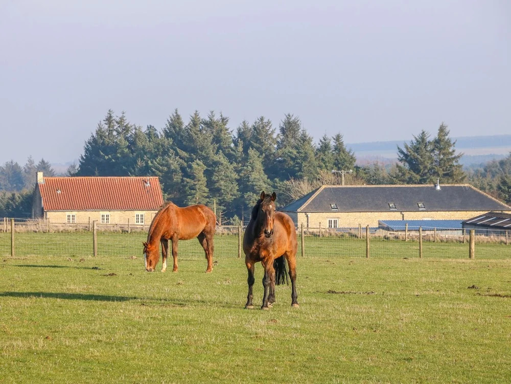The Byre