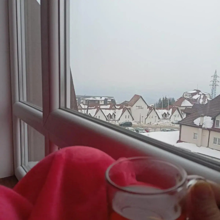 Apartmani Vidatela Kopaonik
