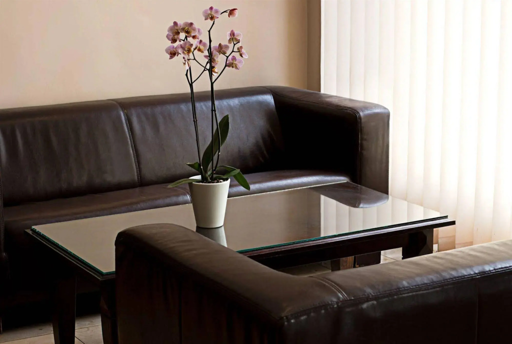 Hotel Abell