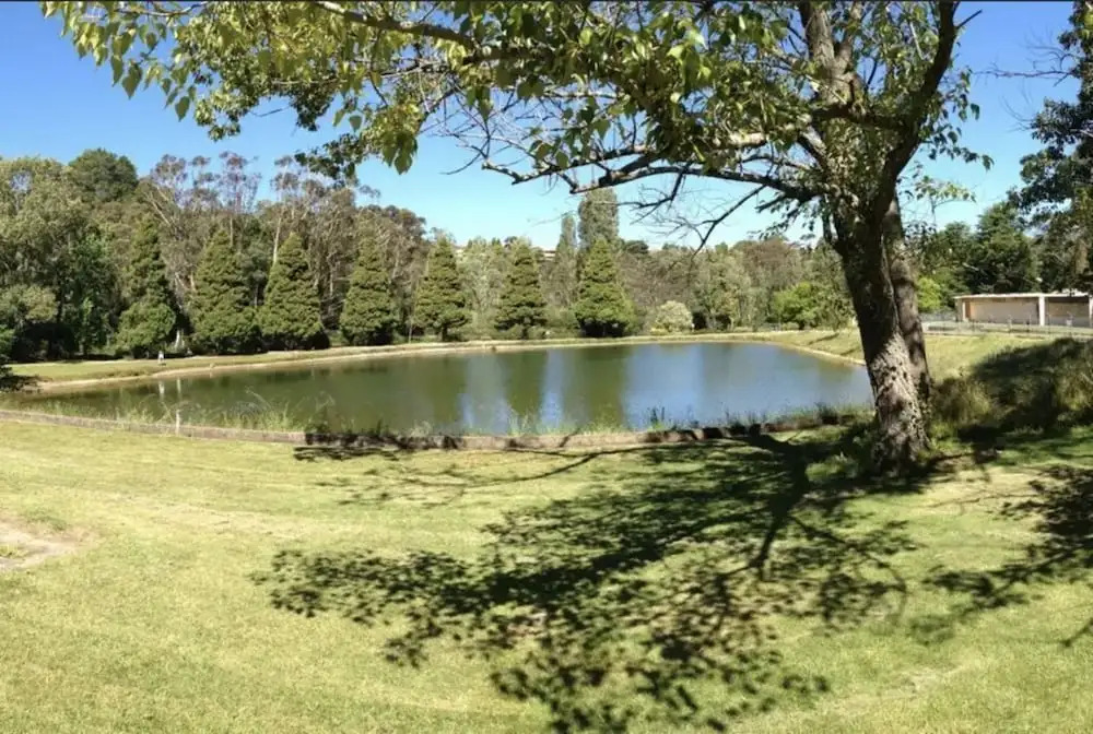The Gully Cottage of Katoomba