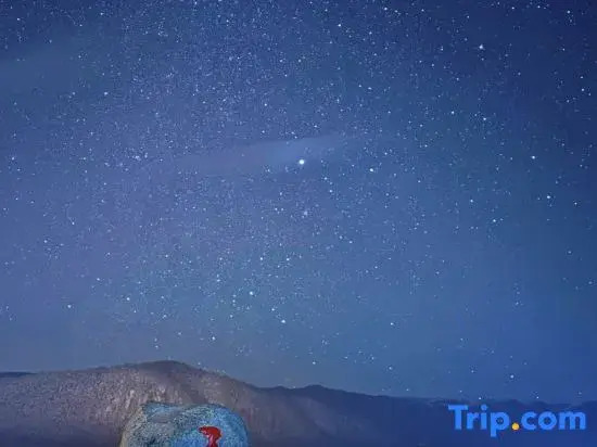R Royalss Hotel