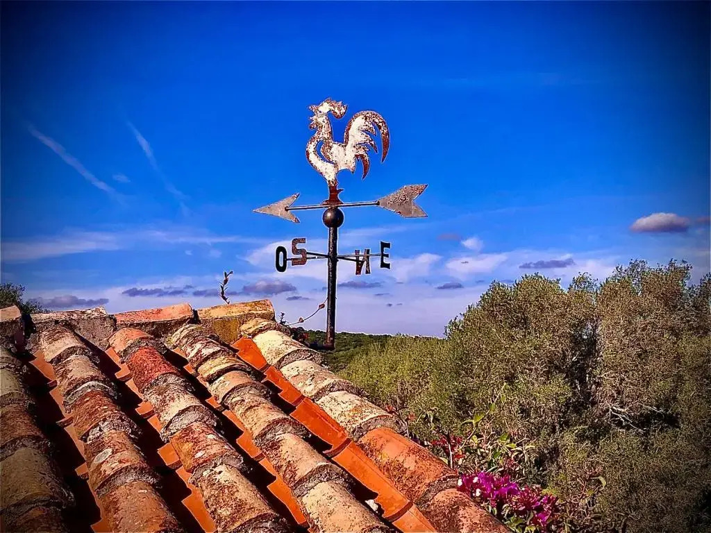 Spartaco Eco Retreat San Pantaleo
