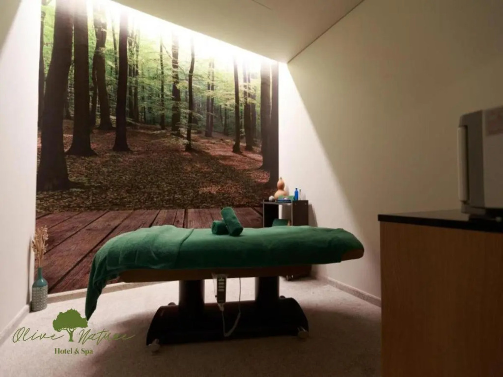 Olive Nature Hotel & SPA - Quinta Valle de Passos