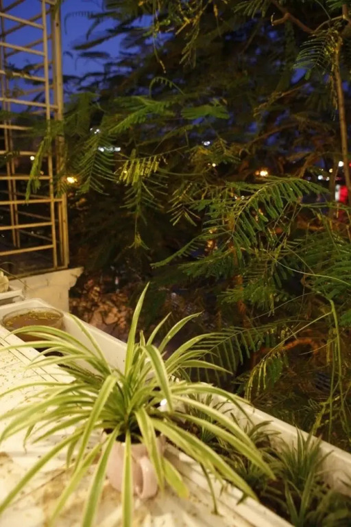 OM Homestay Lake View