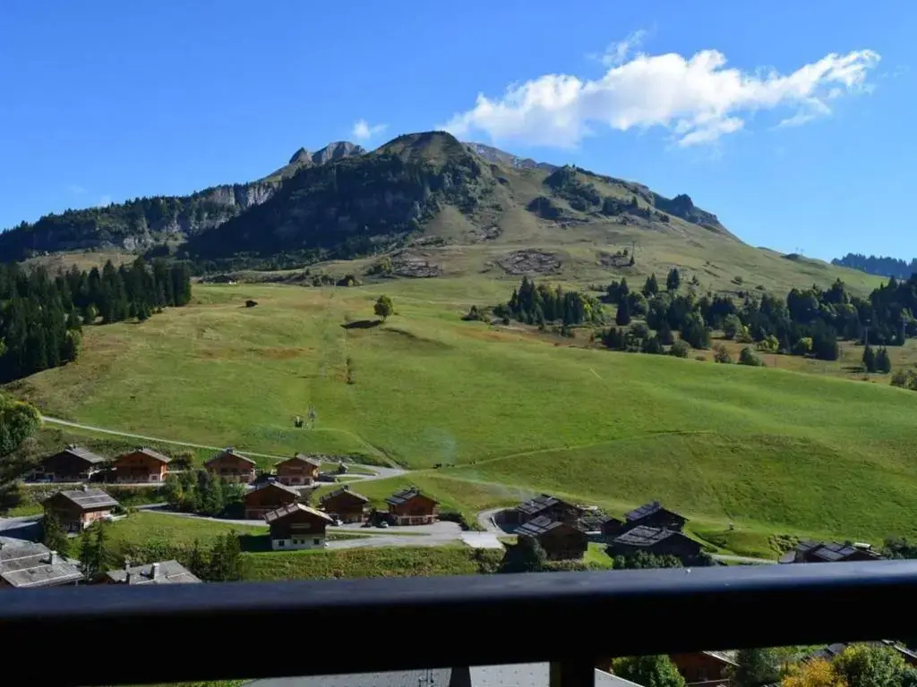 Appartement Le Grand-Bornand, 1 pièce, 6 personnes - FR-1-241-229