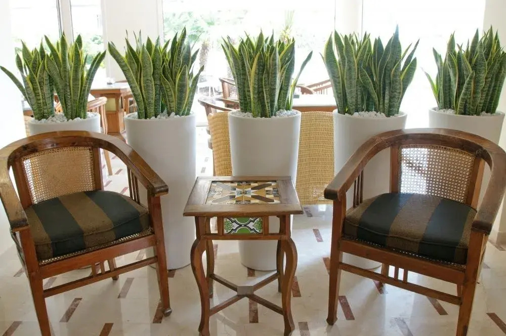 HOTEL TRIONFAL - Fronte Mare - Vicinissimi al Centro
