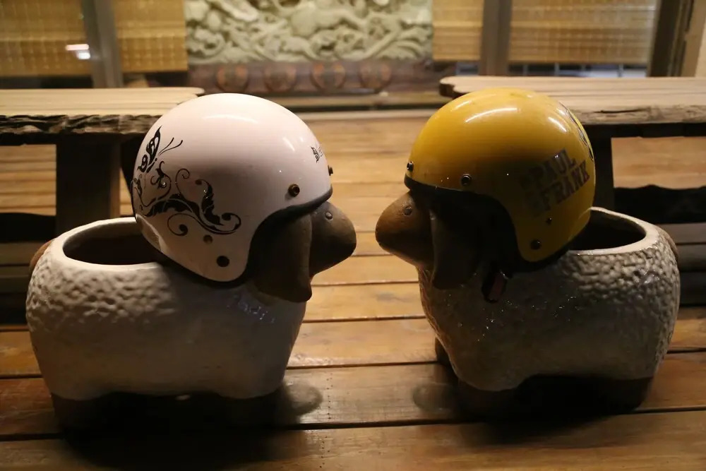 Winnie B&B