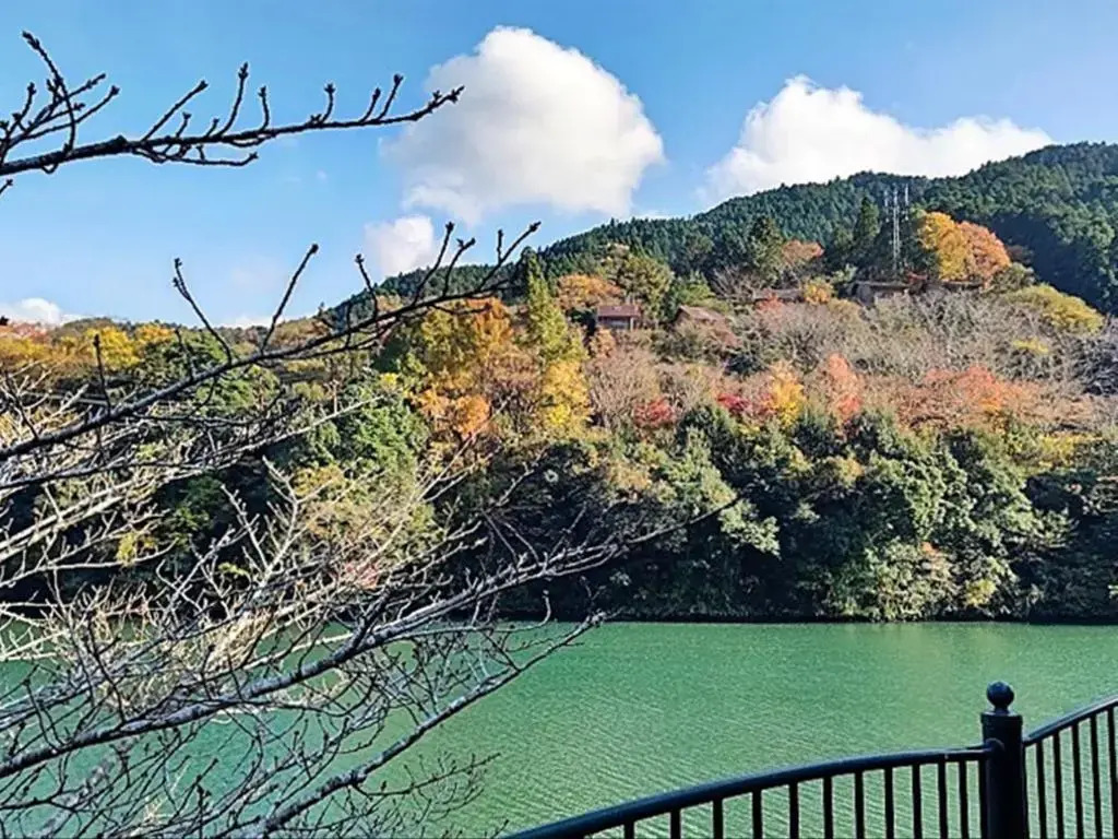 momijigawa onsen