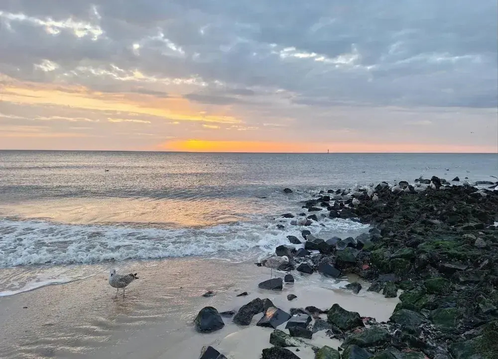 Appartement in Westerland auf Sylt
