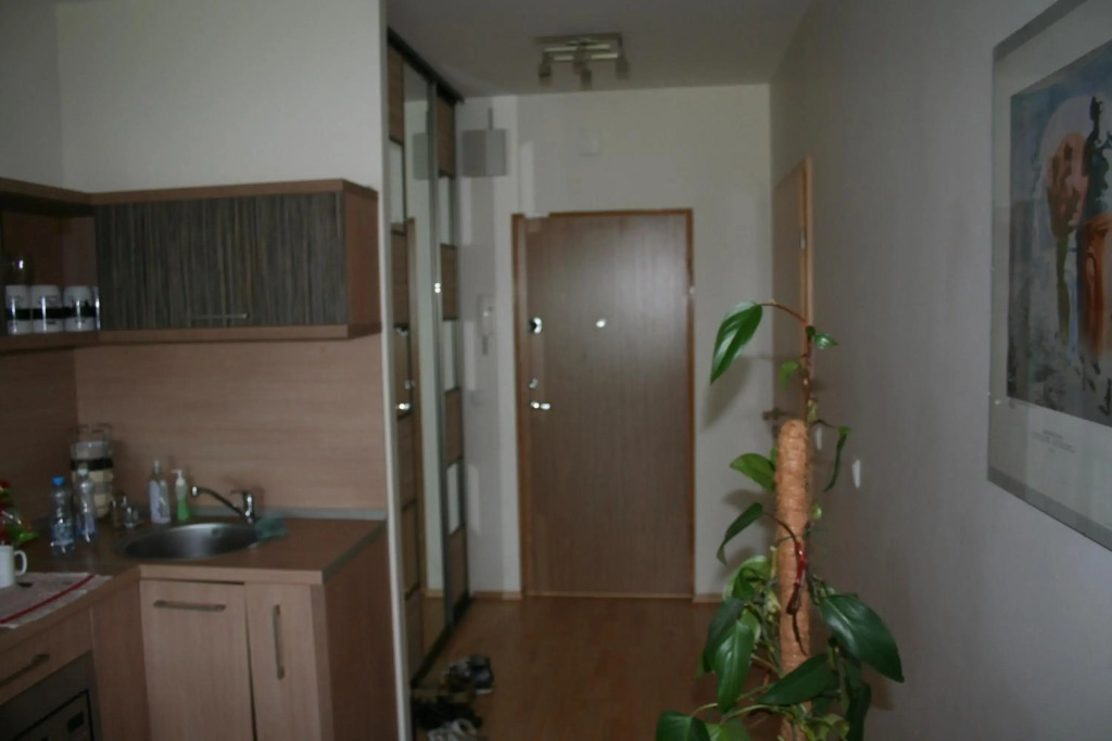 Palangos apartamentai