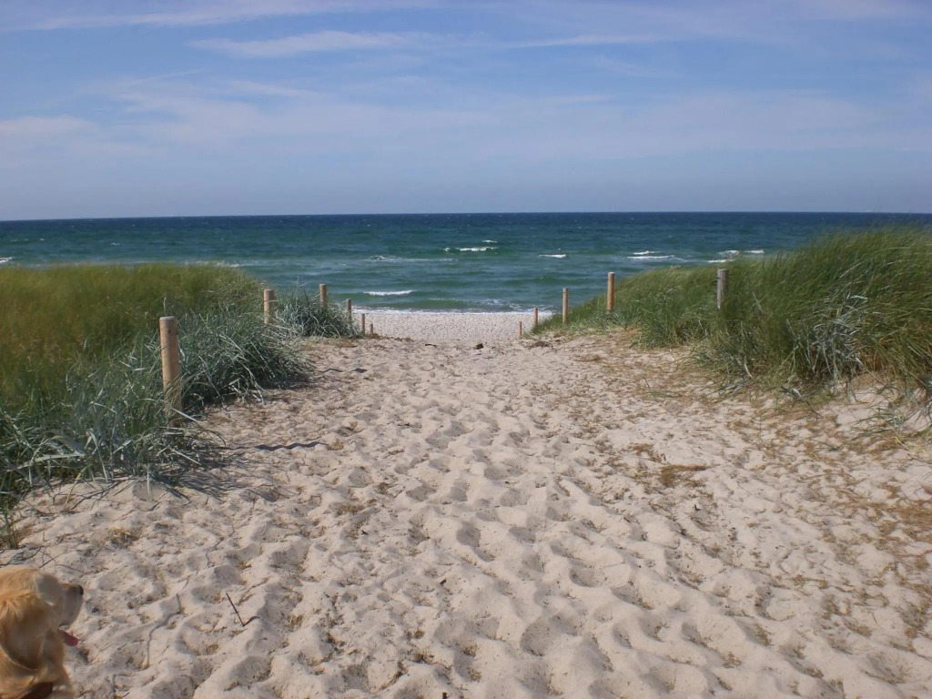 Achtern - Diek - am Strand