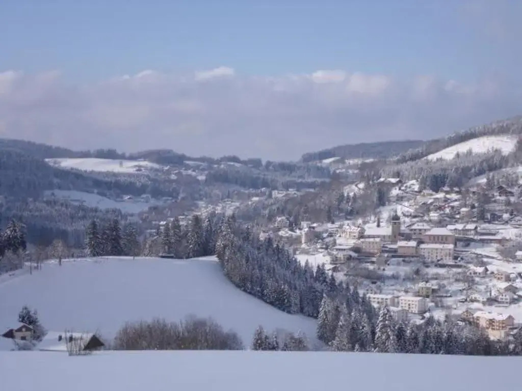 Gîte neuf au calme près de Gérardmer avec terrasse et balades en forêt - FR-1-589-217