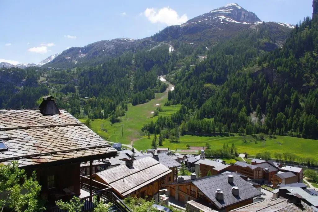 Chalet Crystal Ridge 107449