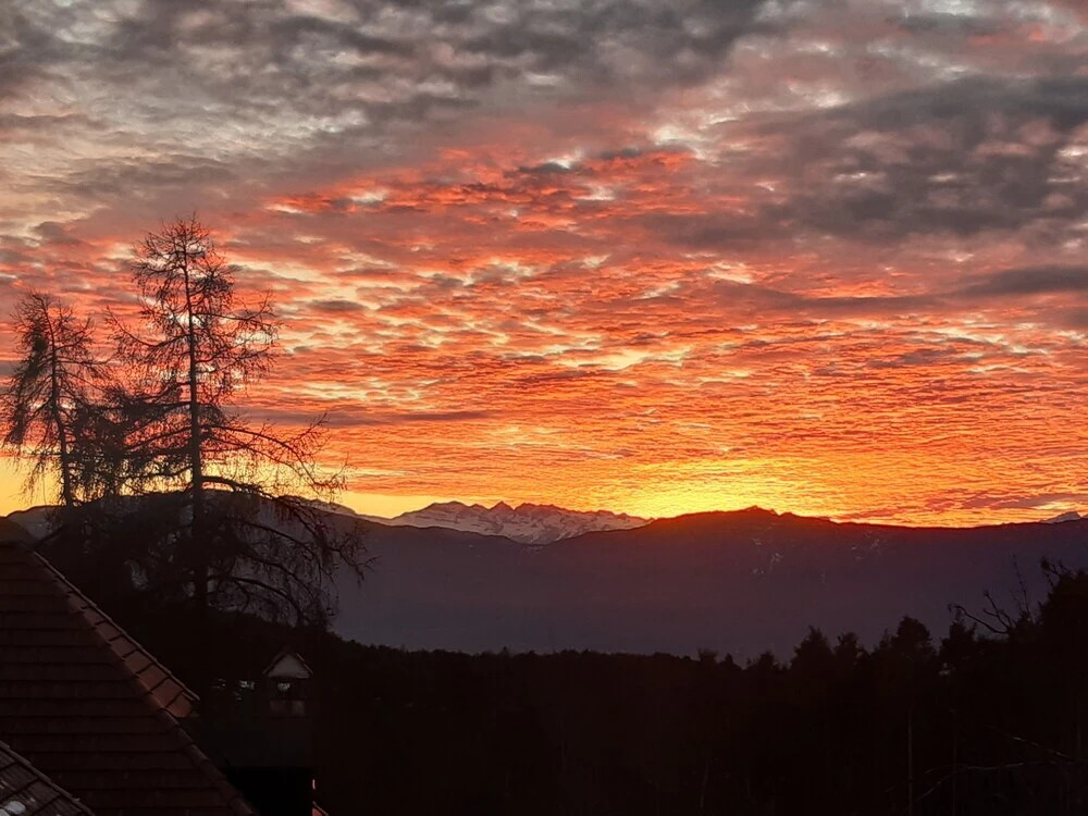 Villa Maier B&B & Apartments