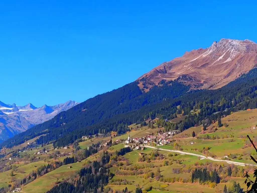 Alp-Hof Apartments