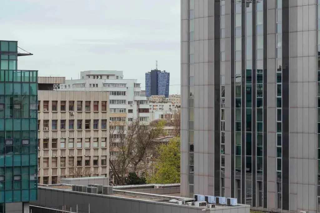 Bright 2BR Flat - Top Location - Green Views