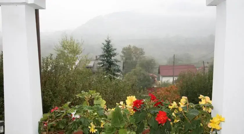 Pensiunea La Brazi