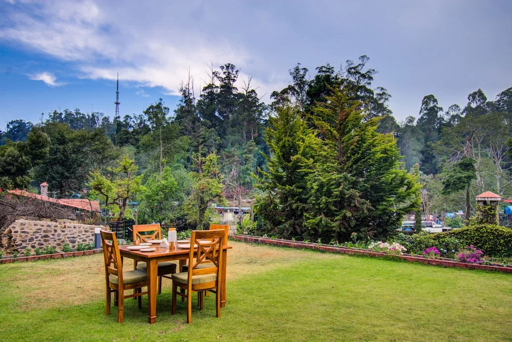 Misty Cove One