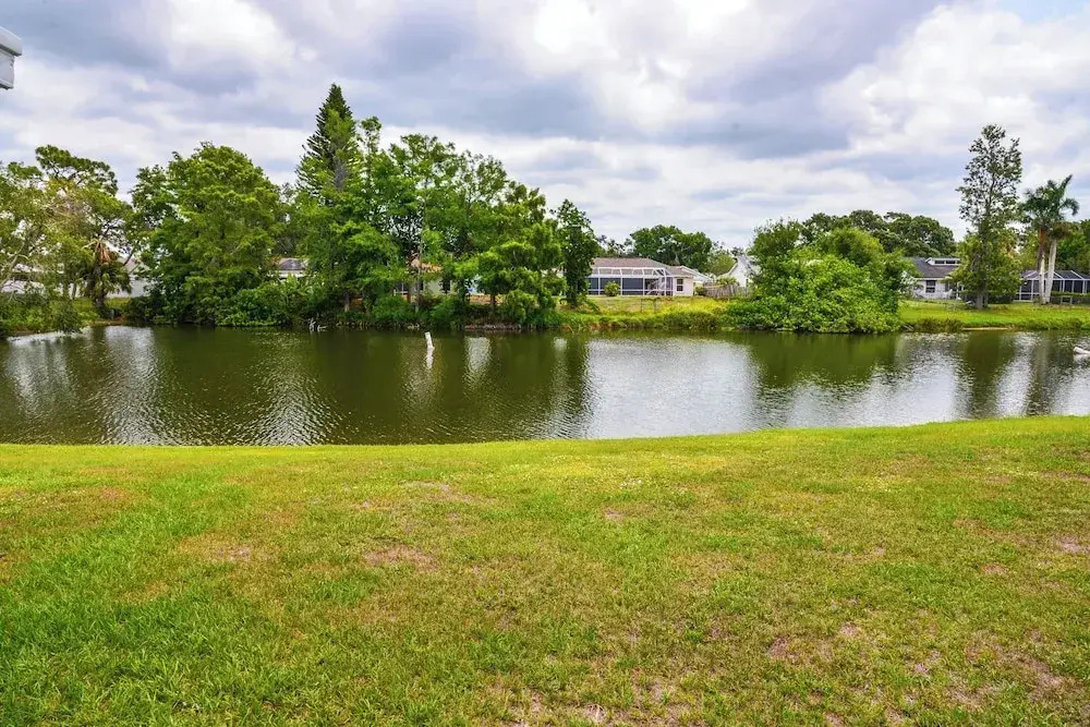 Lanai & Pond at Tranquil Bradenton Retreat!