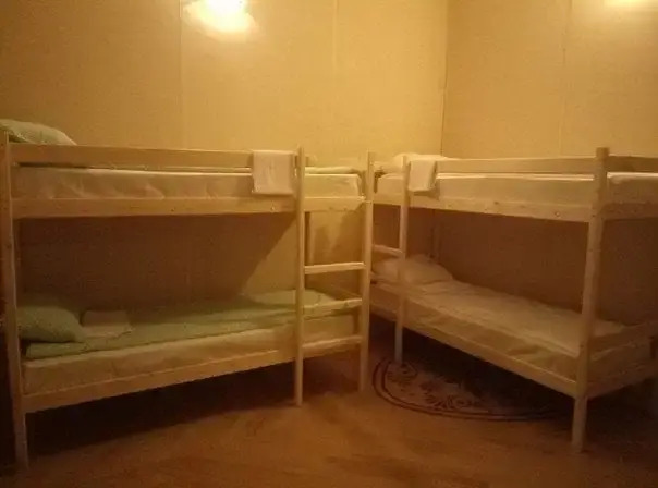 Hostel Wings