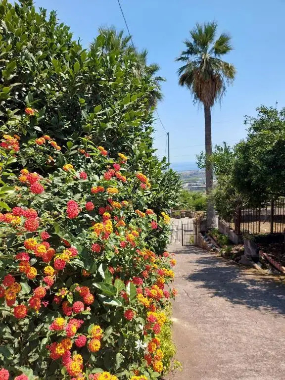 CASA DELLE PALME GIARRE SICILIA A 3 KM DAL MARE