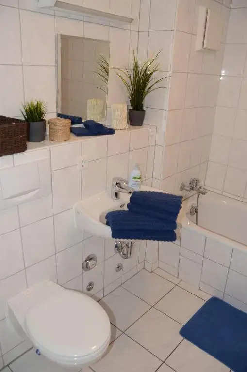 2-Zi-Ferienwohnung-Mueritzblick-direkt-am-Seeufer-perfekte-Lage-barrierefrei