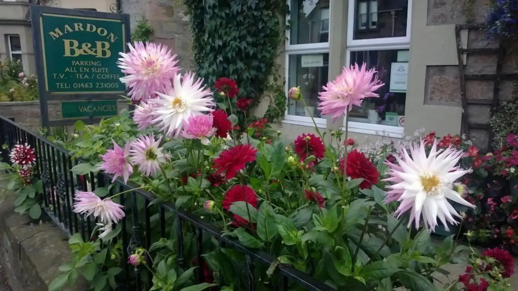 Mardon Guest House