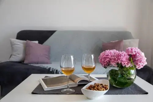 Apartment Mirna