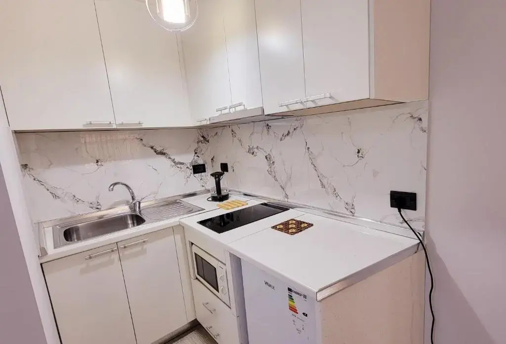 Green Studio Apartment