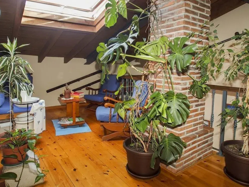 Casa de la Montaña Albergue Turístico