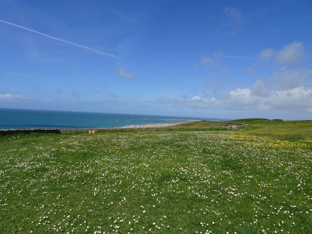 Holiday Home in Normandy Near Sandy Beaches