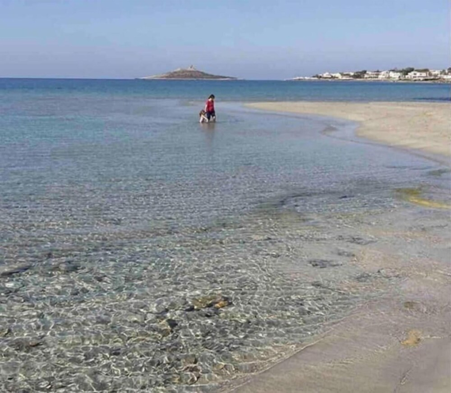 isola bianca
