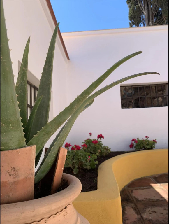 Novedad Suite Céntrico con Porche y Jardín