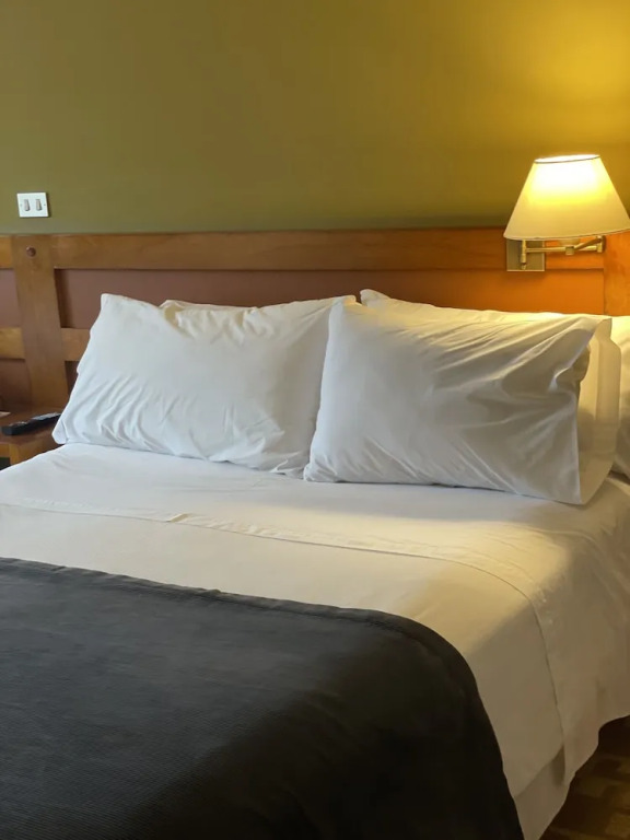 Almasur Express Punta Arenas