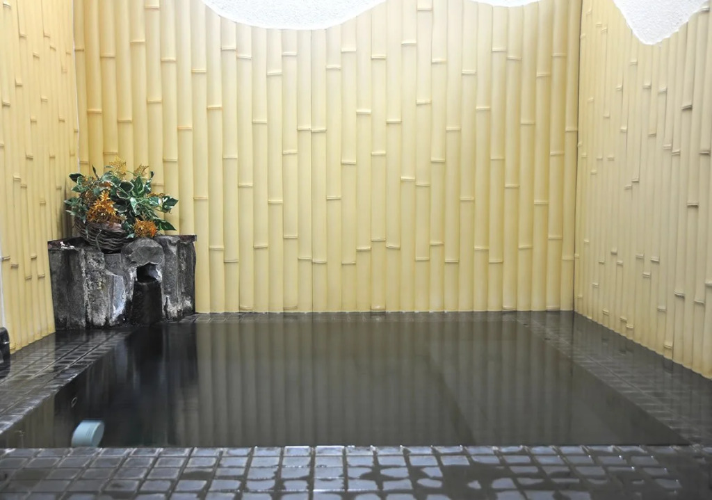 Ryokan Minshuku Gorinkan
