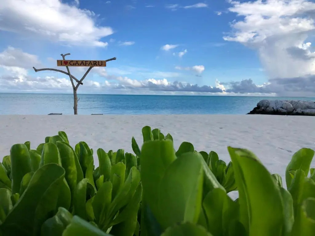 Old Town Inn Maldives