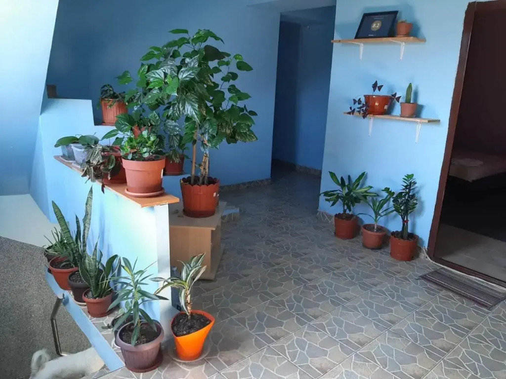 Casa Ana