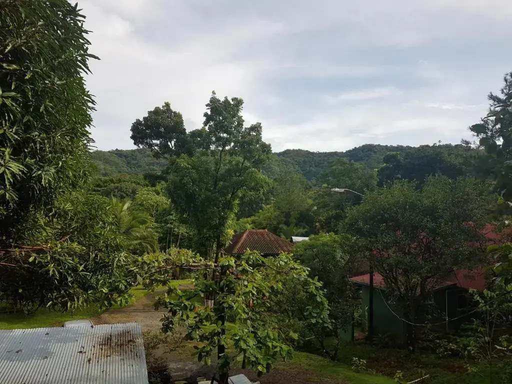 LOS PINOS DE TORIO