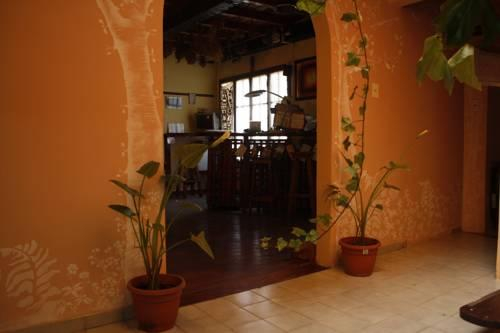 La Casa del Arbol