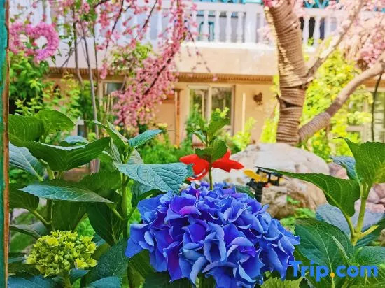 Yining Qingshe Homestay