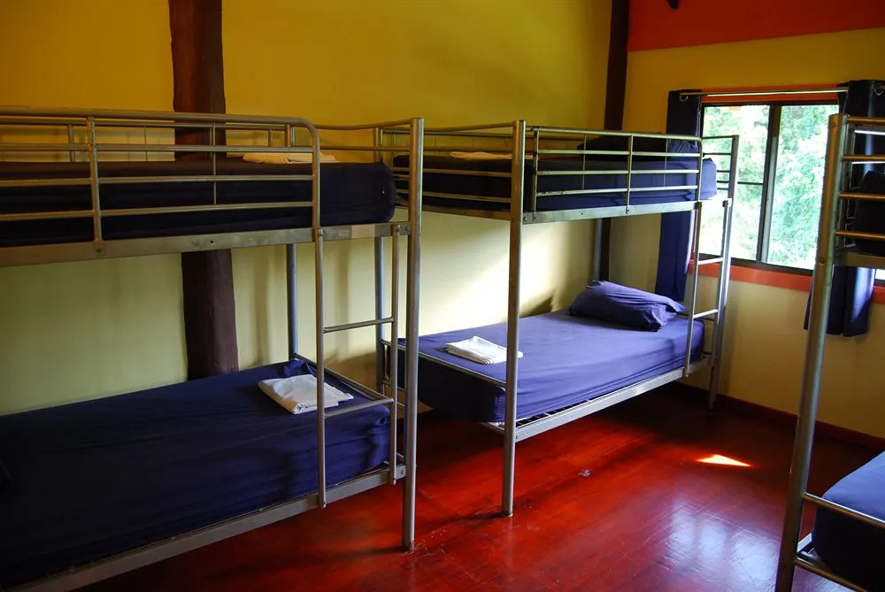 Jackaroo Treehouse Rainforest Retreat