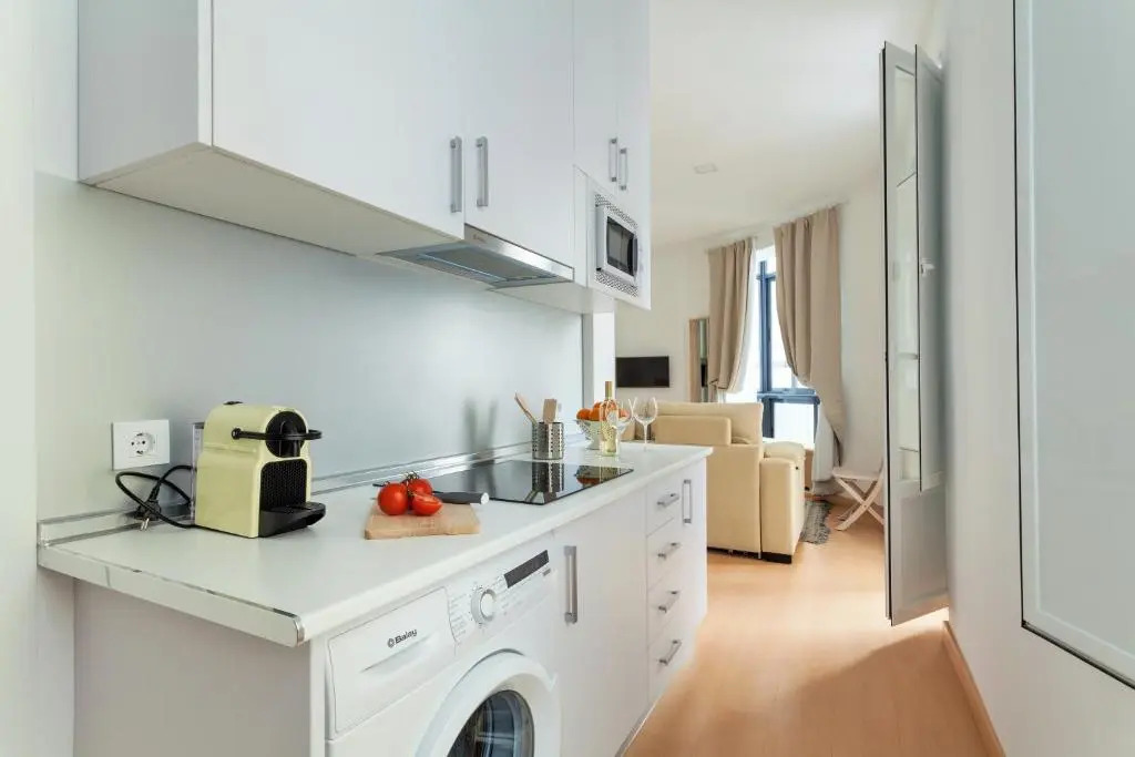 Hostly Acetres 1A loft in city center, comunal terrace, fibre,parking optional