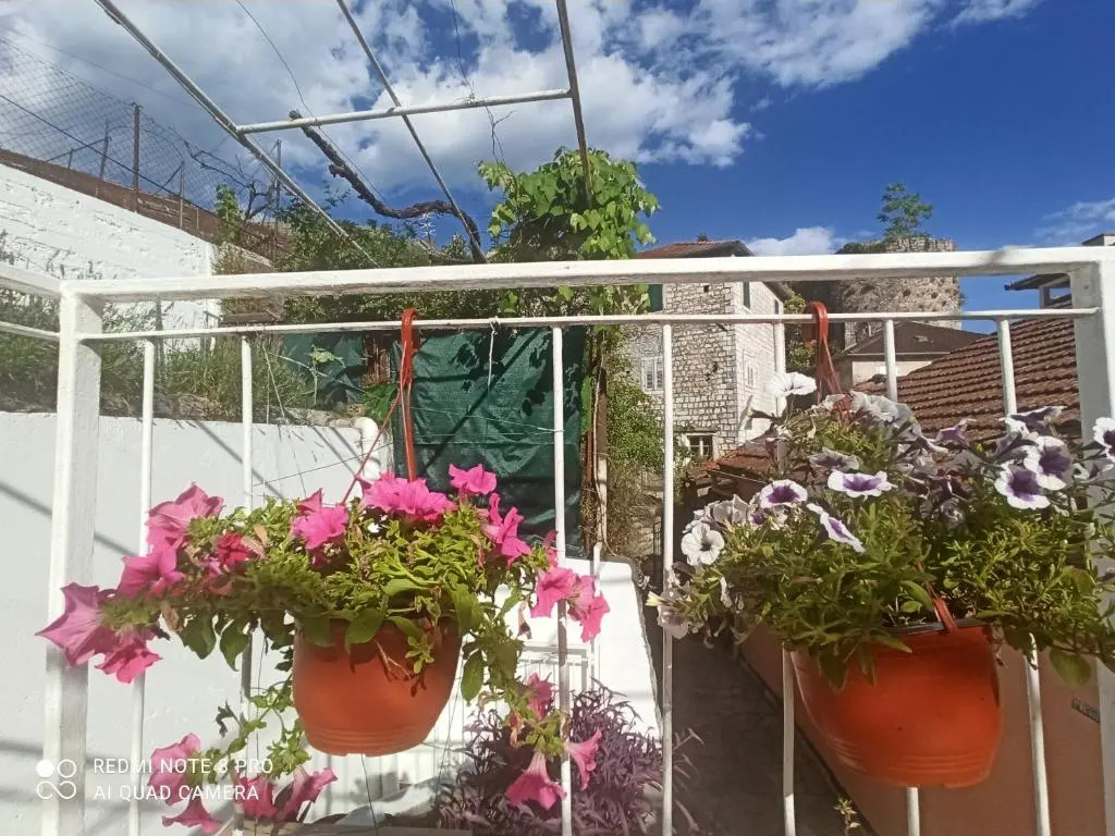 Apartment CEPIC