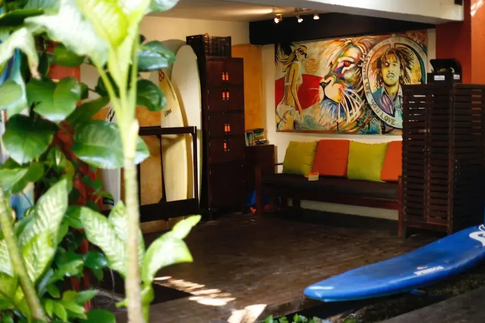 Experiencia Surf Camp - Hostel