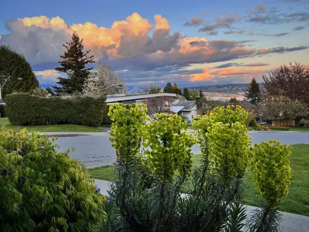 Lovely J Home -Stunning river view cozy two bedroom private suite
