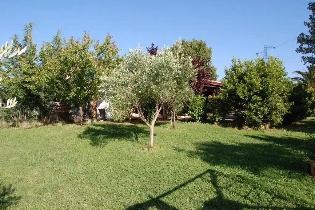 Agriturismo Il Cipresso