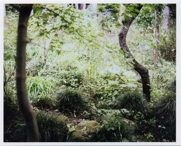 Ryokan Hiyoshi