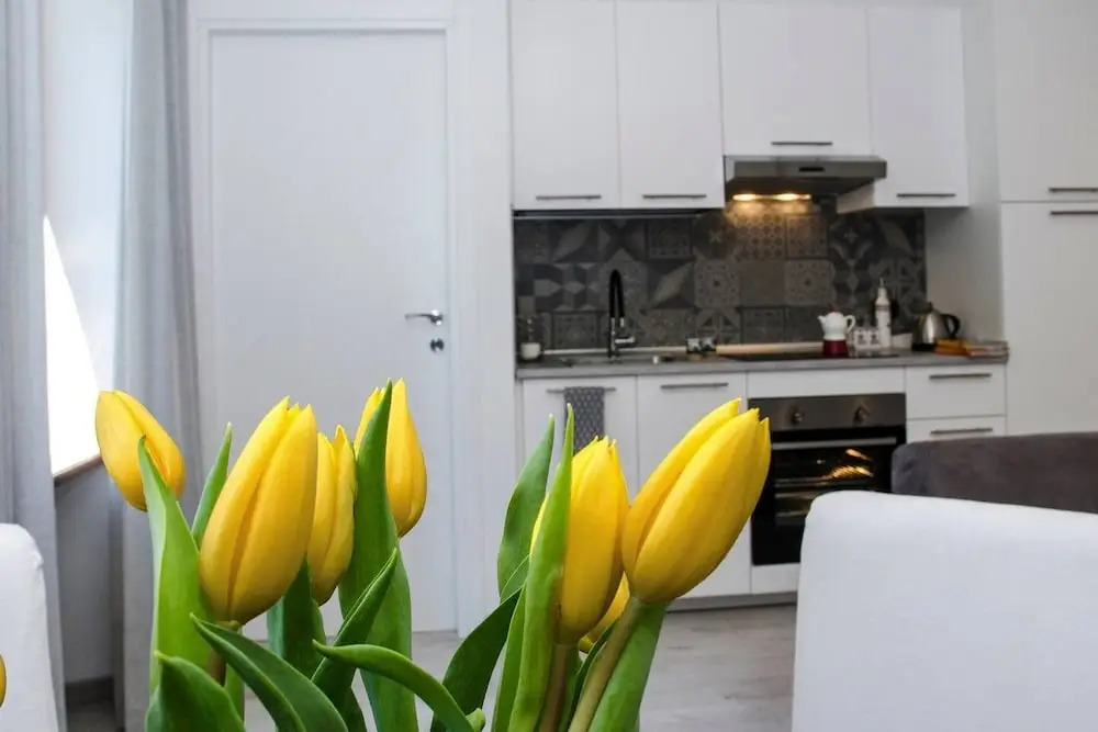 JOIVY Cute 1-bedroom flat next to Lake Como
