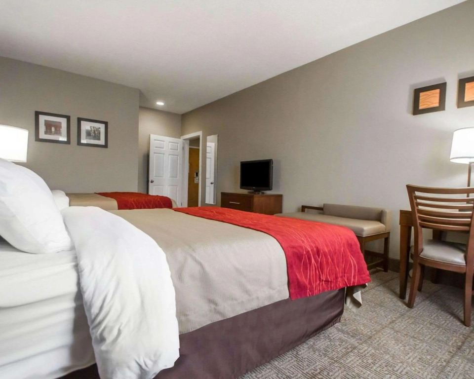 Comfort Inn Amite City